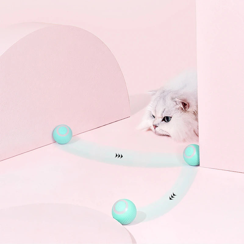 Remote Control Self-Moving Interactive Cat Toy